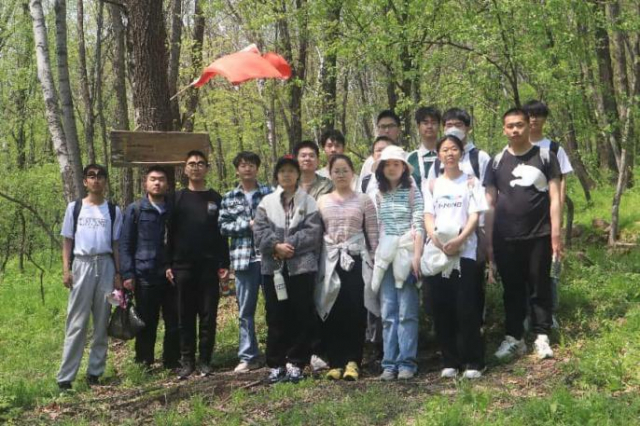 image-20250516153034-1